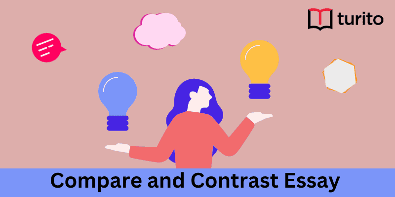 Compare and Contrast Essay