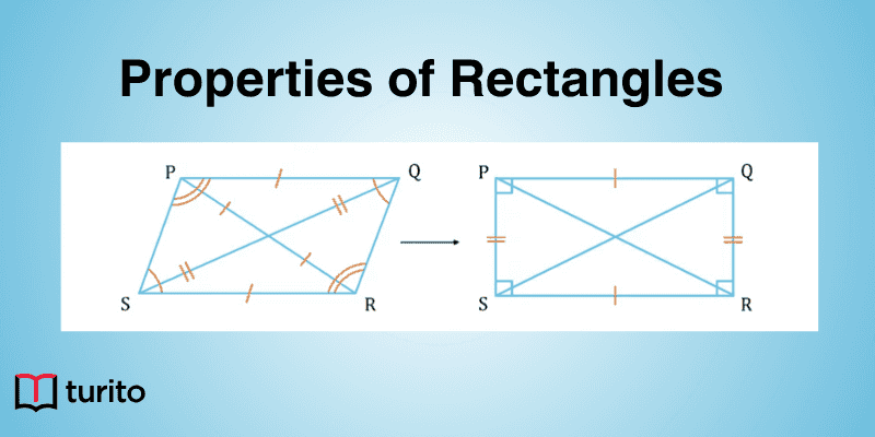 Properties of Rectangles