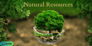 Natural Resources