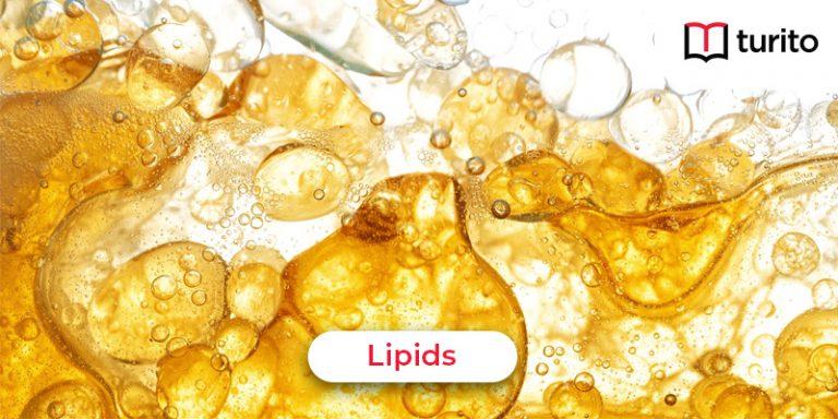 Lipids